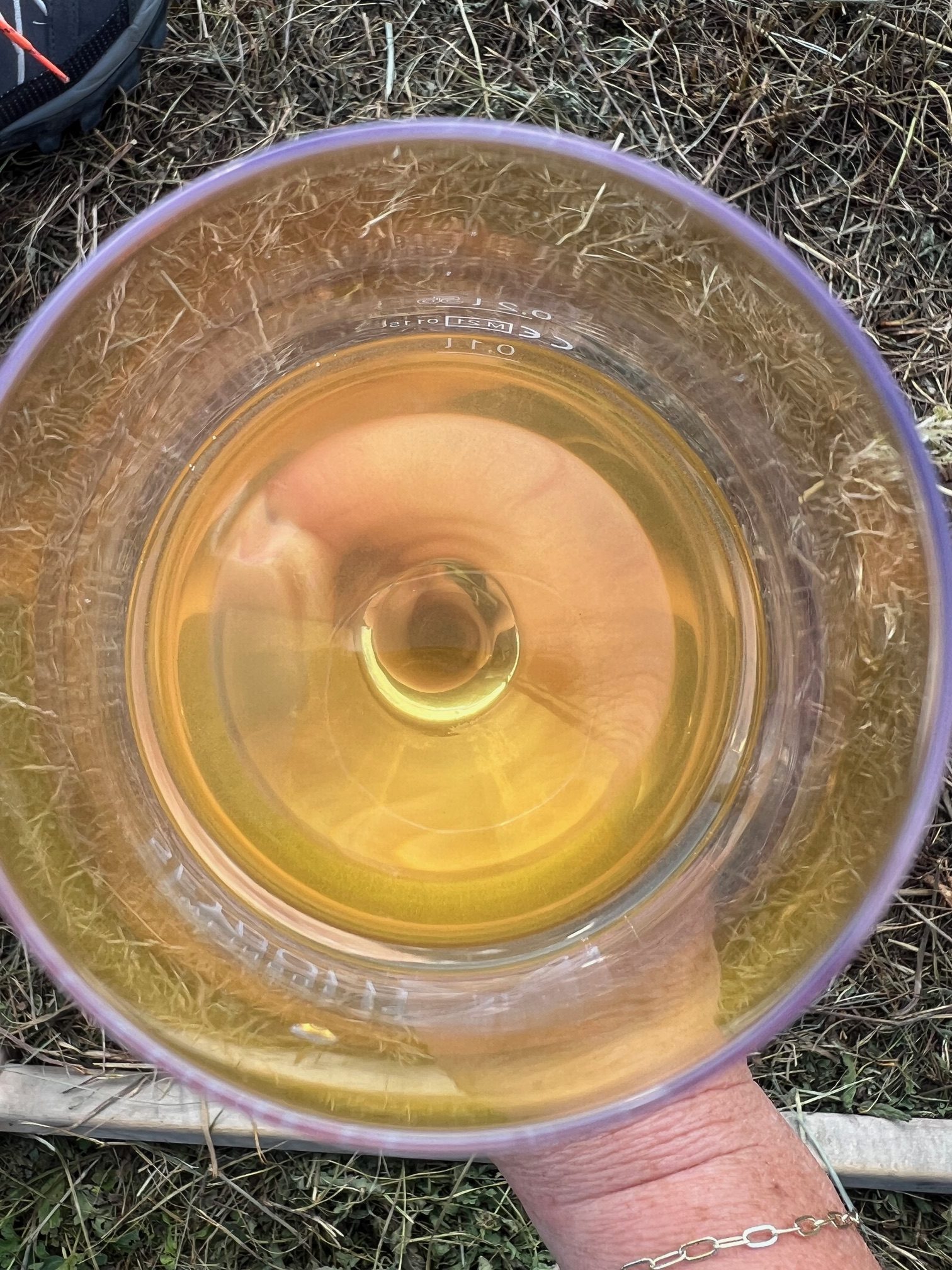 youngtimer-wein-events-orange-wein