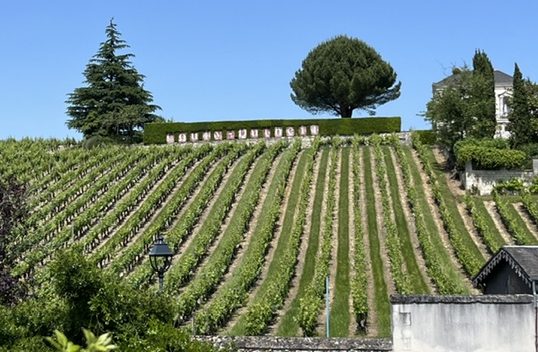 youngtimer-wein-events-loire